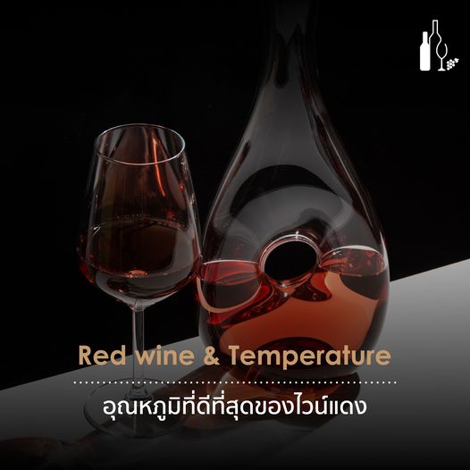 อุณหภูมิที่ดีที่สุดของไวน์แดง | Universal Fine Wine and Spirits | Red Wine and Temperature